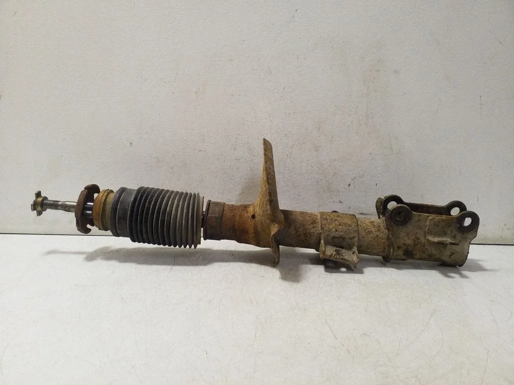 Front shock absorber/damper – left