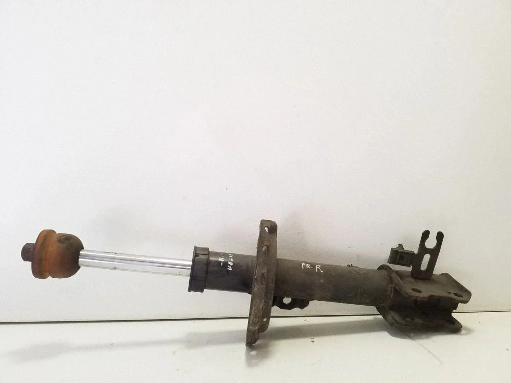 Front shock absorber/damper 22214604