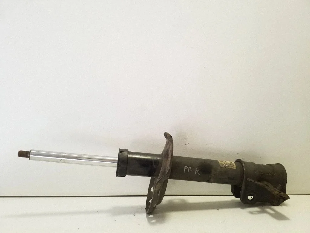 Front shock absorber/damper 22214604