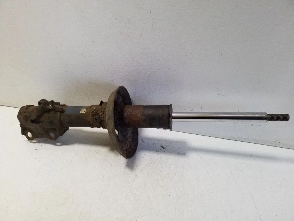 Front shock absorber/damper 131500170794