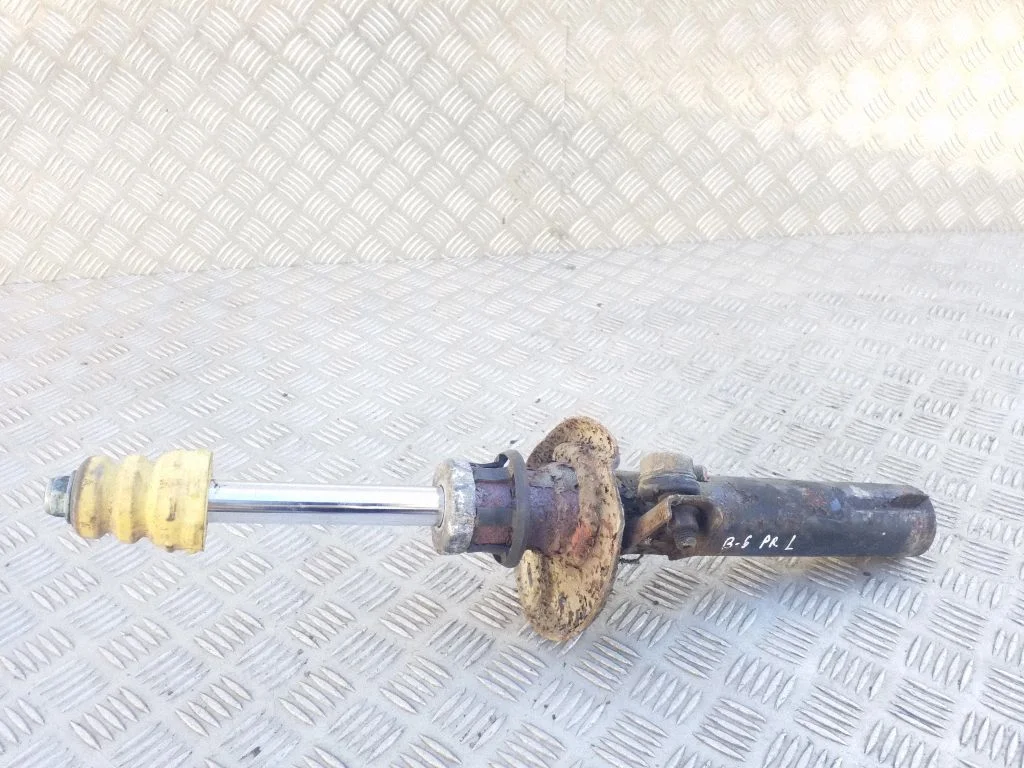 Front shock absorber/damper 3C0413031AC