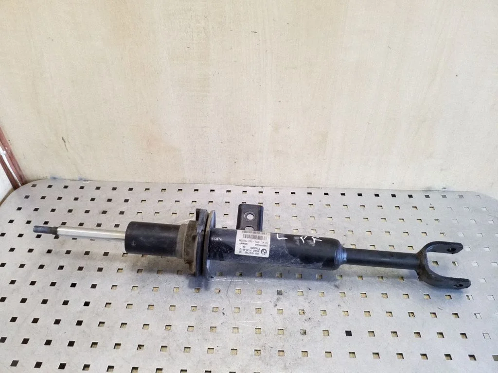 Front shock absorber/damper 3131679776501