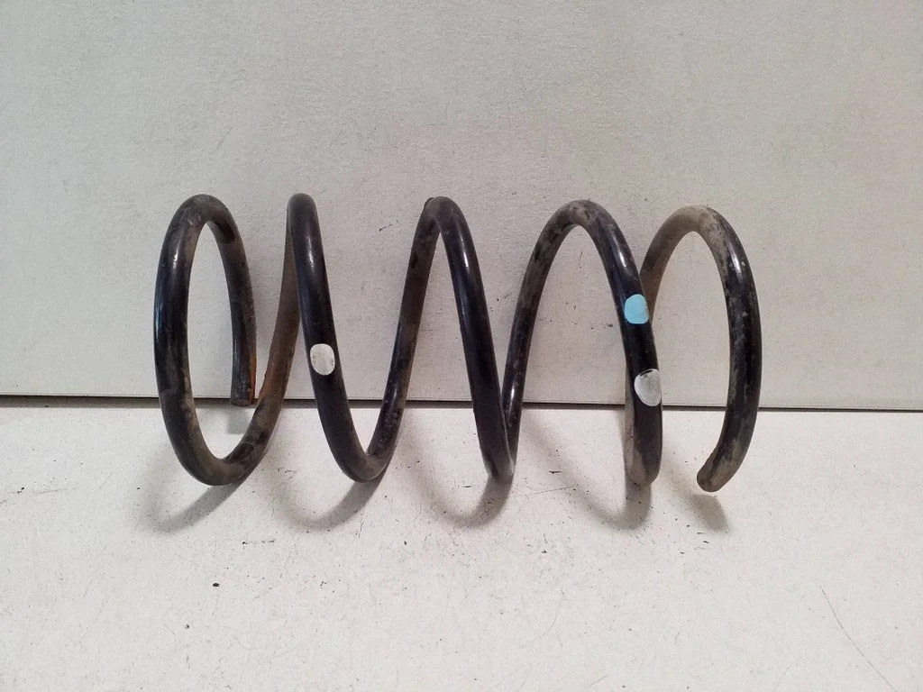 Front coil spring