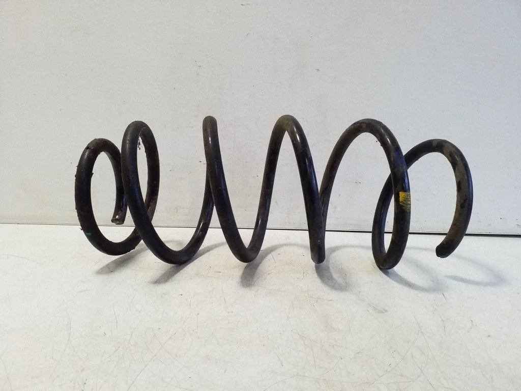 Front coil spring