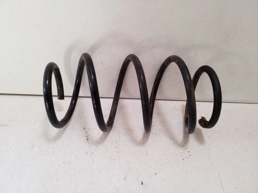Front coil spring
