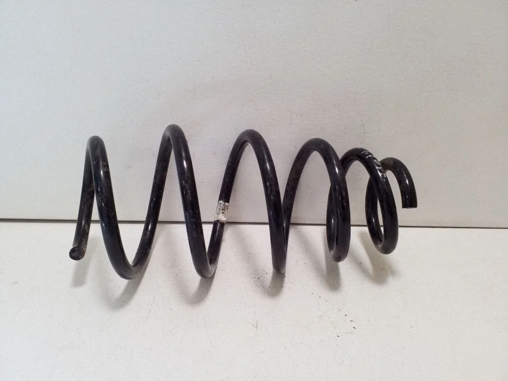 Front coil spring