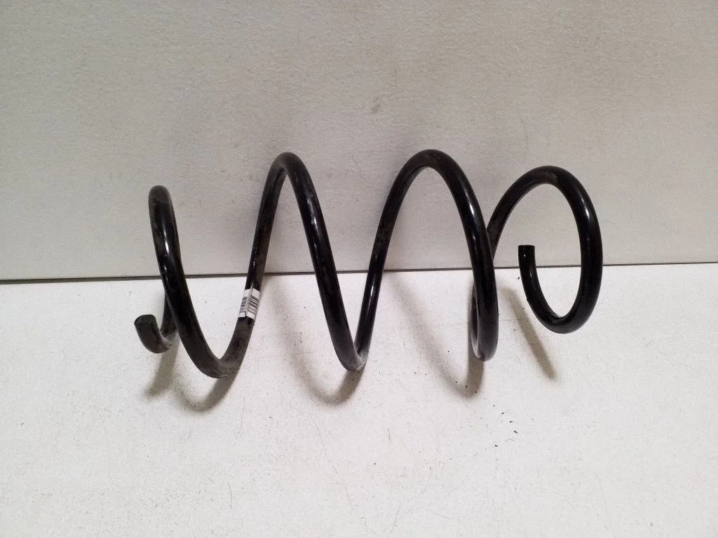 Front coil spring