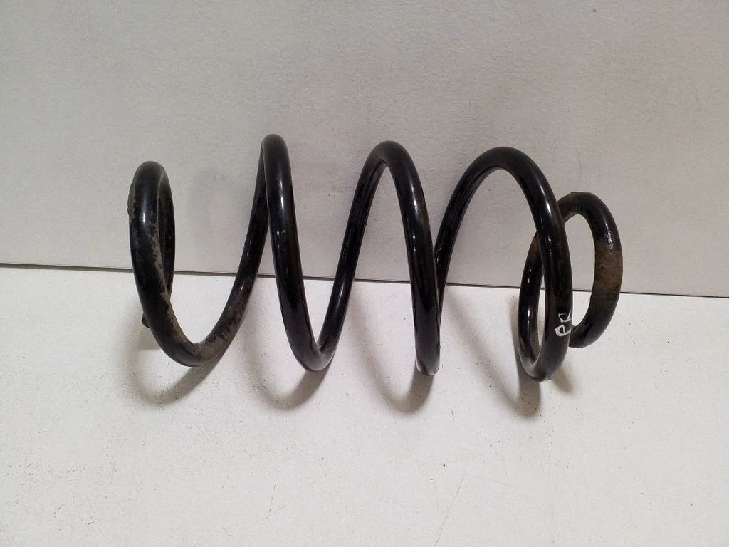 Front coil spring