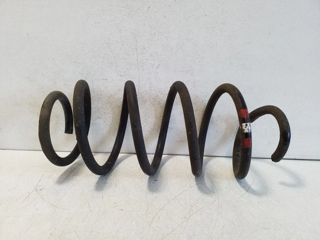 Front coil spring