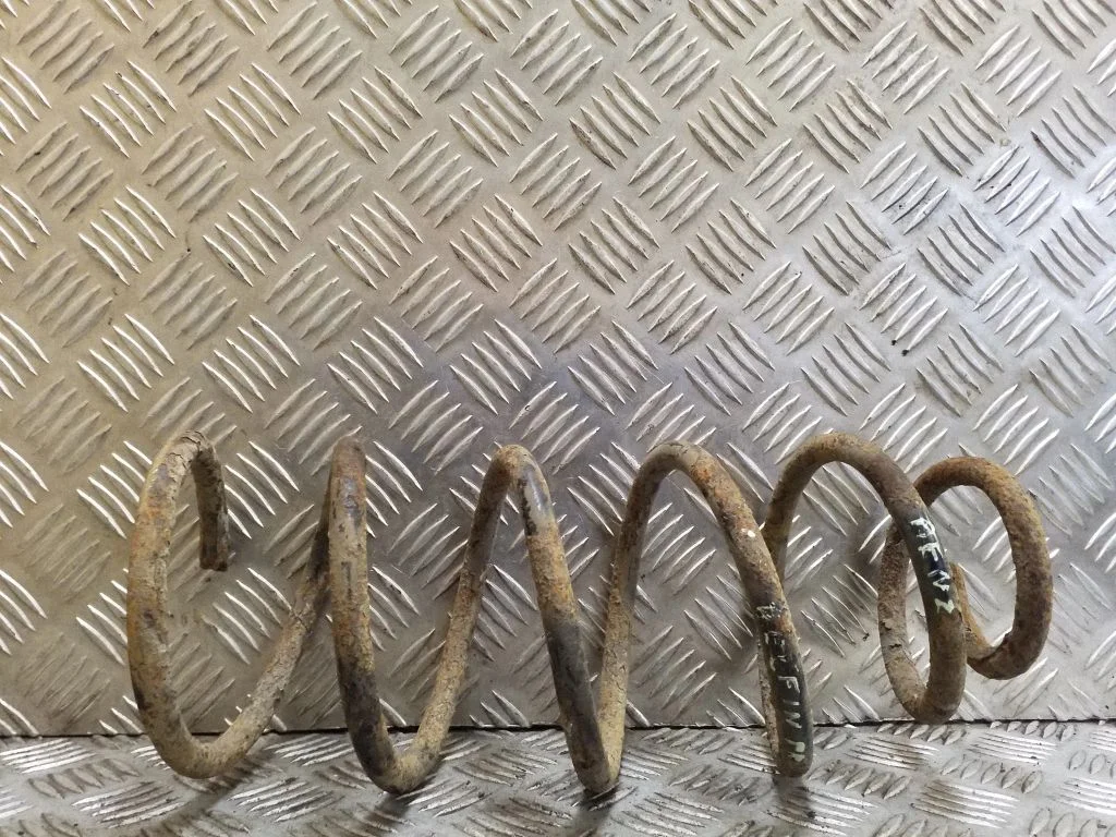 Front coil spring