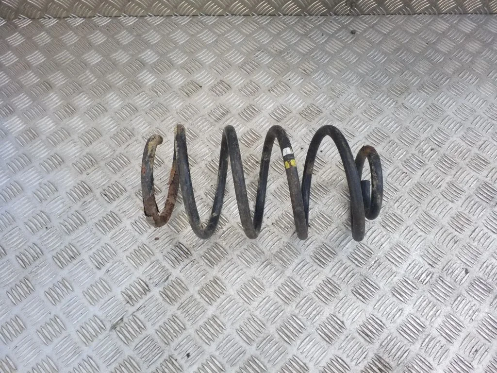 Front coil spring