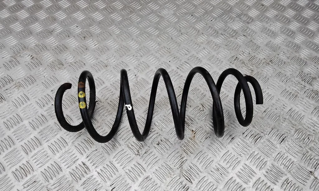 Front coil spring