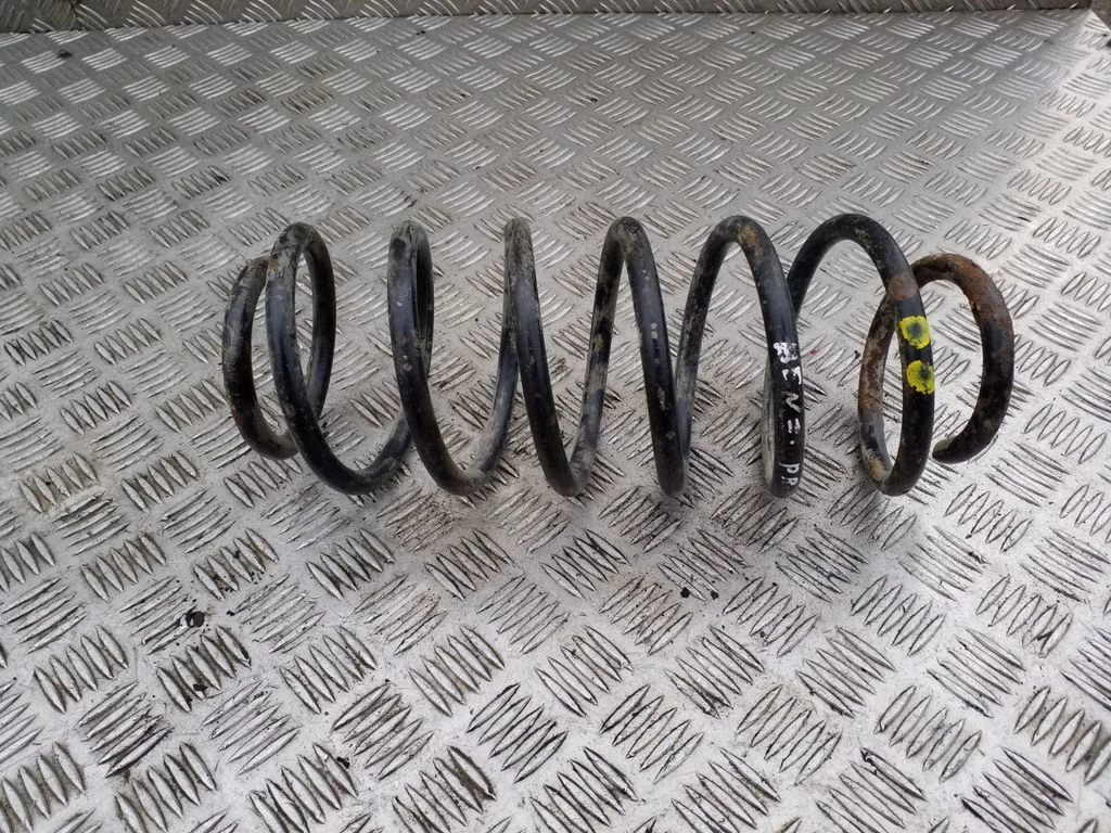 Front coil spring