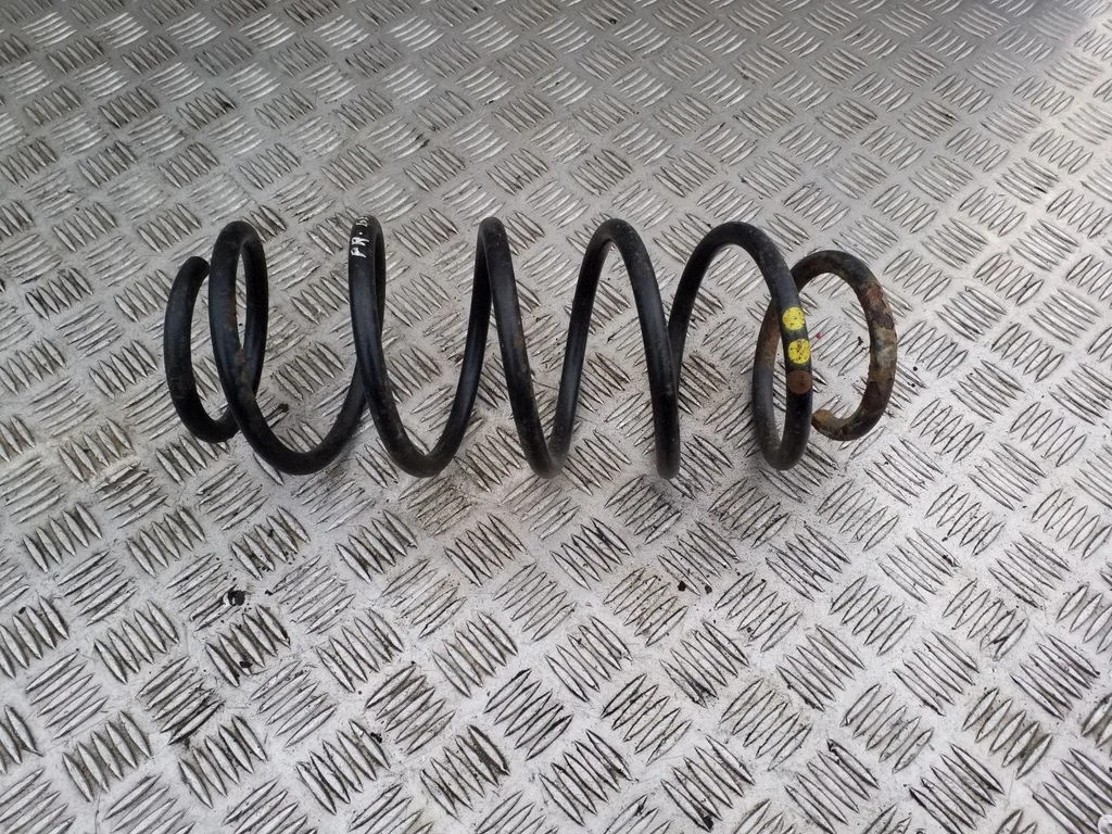 Front coil spring
