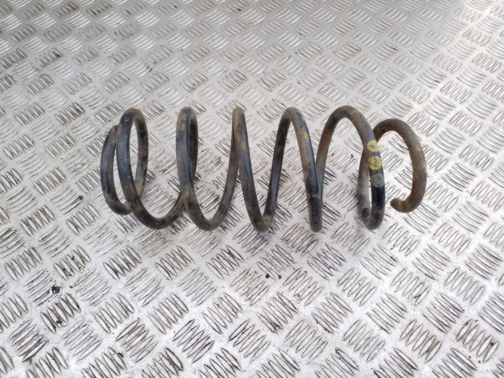 Front coil spring