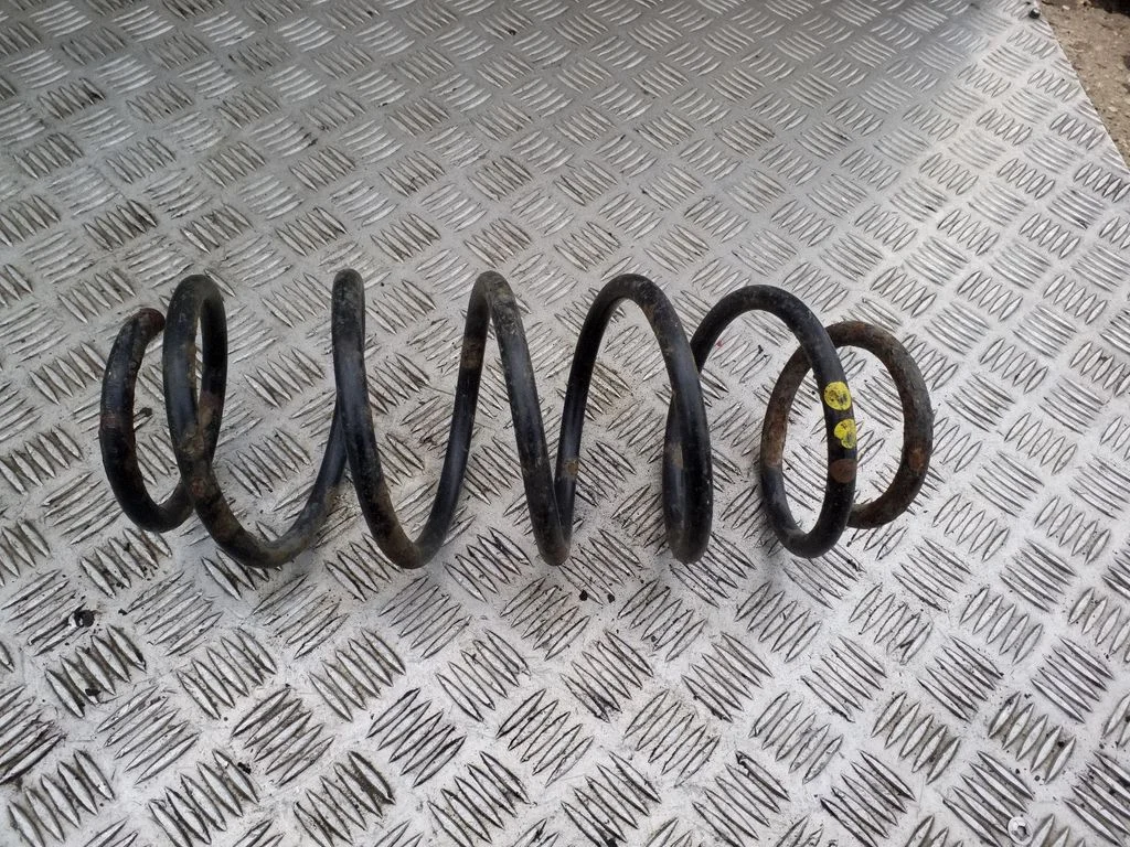 Front coil spring