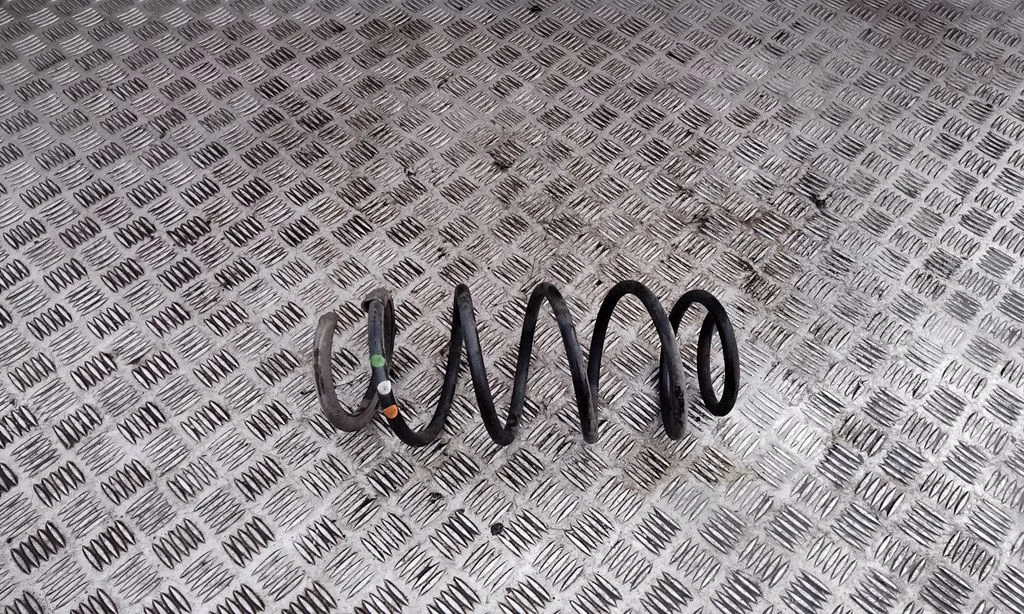 Front coil spring