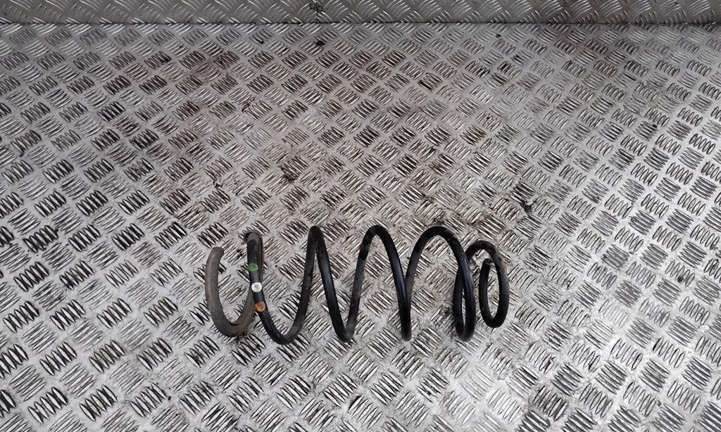 Front coil spring