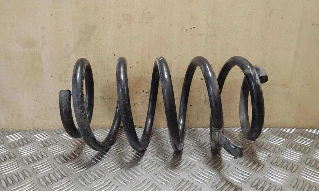 Front coil spring 6750338