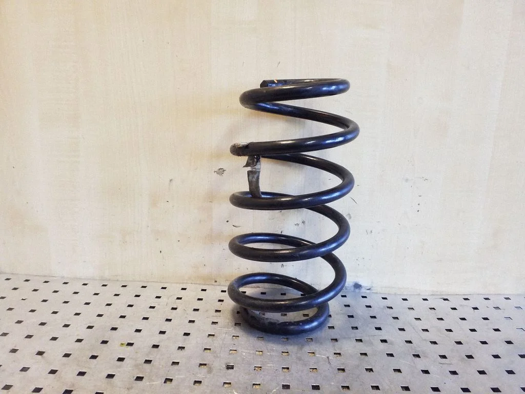 Front coil spring 6750338