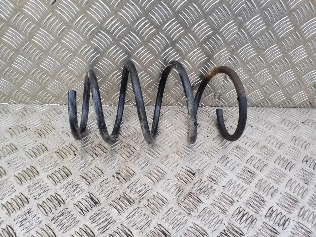 Front coil spring