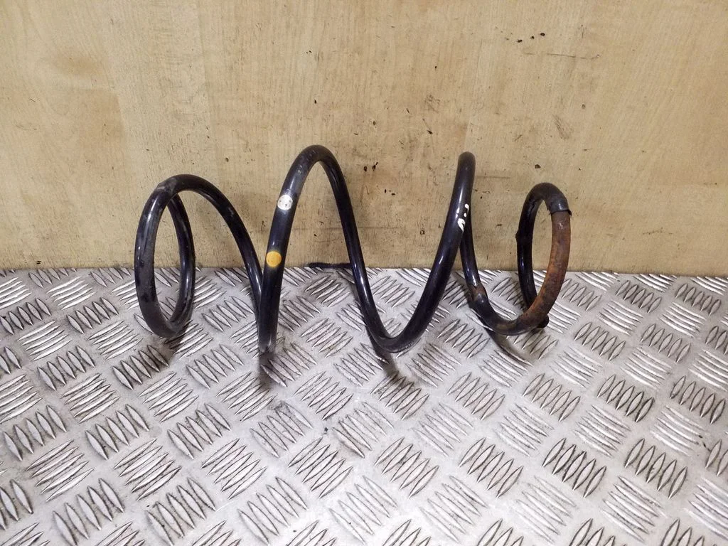 Front coil spring