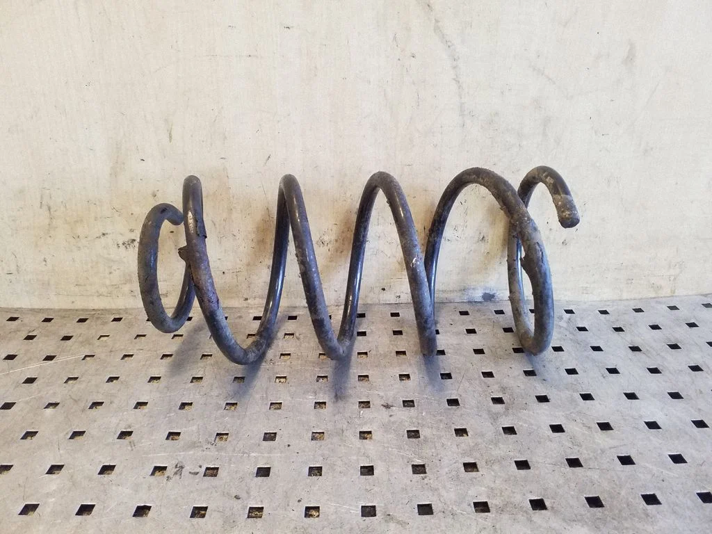 Front coil spring