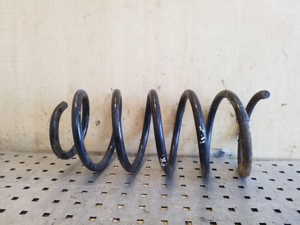 Front coil spring