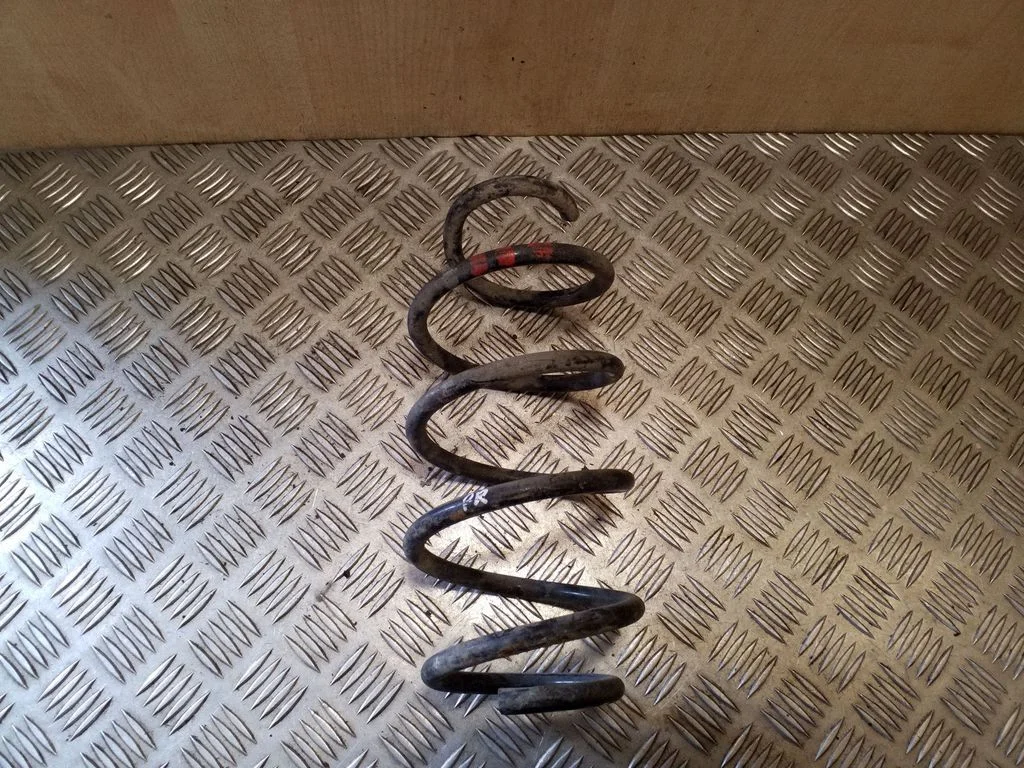 Front coil spring