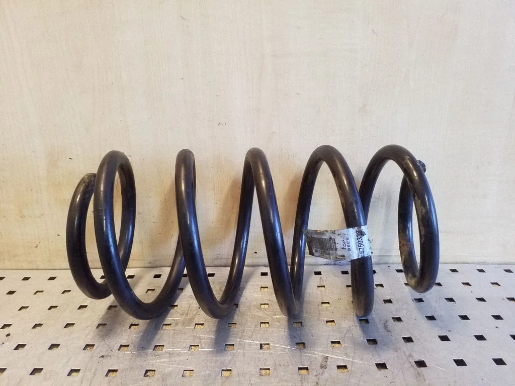 Front coil spring