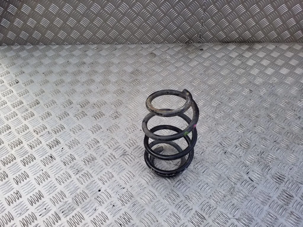 Front coil spring