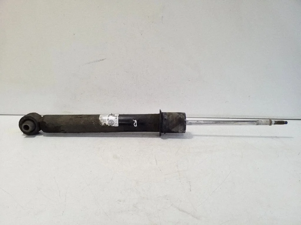 Tagumine amortisaator D10155300F1010