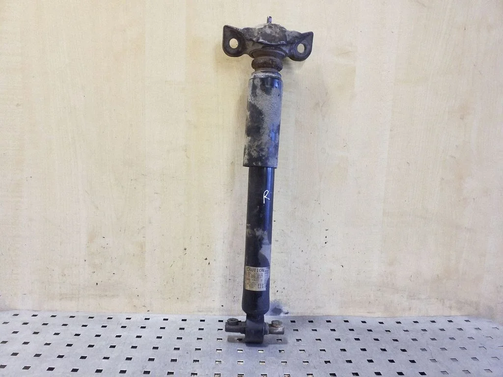 Rear shock absorber/damper DG9C18W002