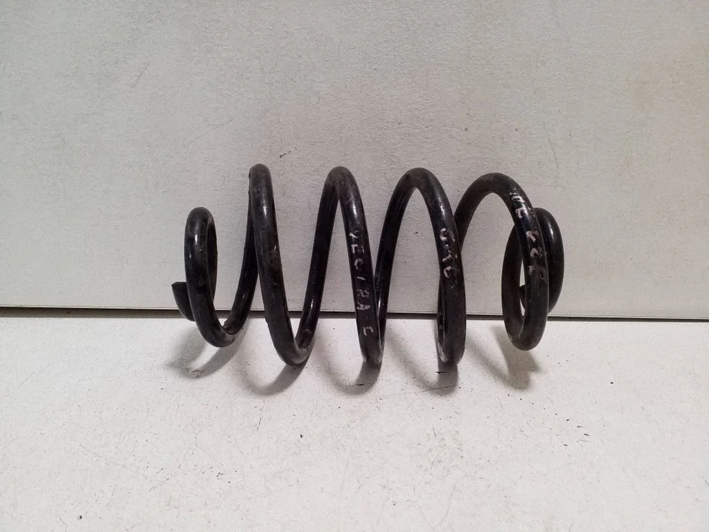 Rear coil spring