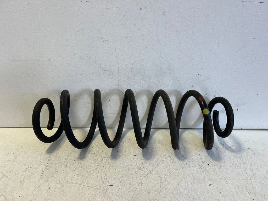 Rear coil spring