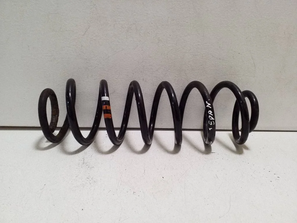 Rear coil spring
