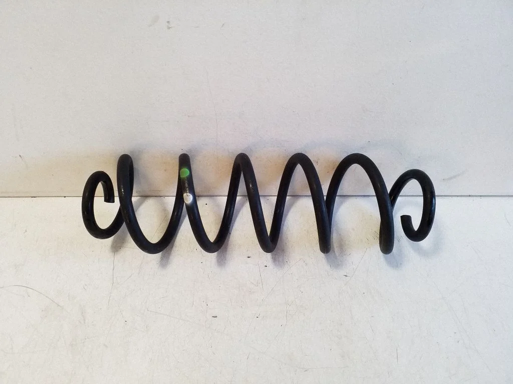 Rear coil spring