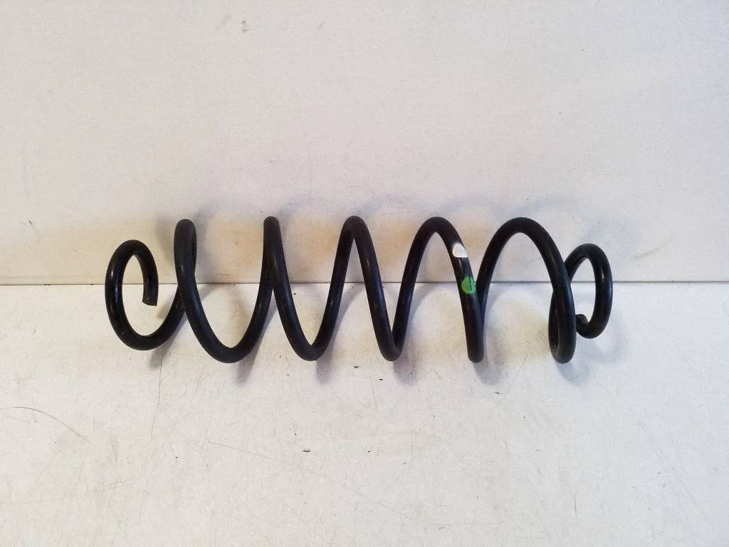 Rear coil spring