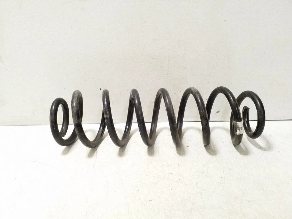 Rear coil spring
