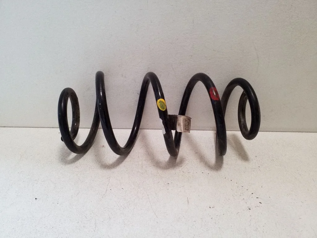 Rear coil spring