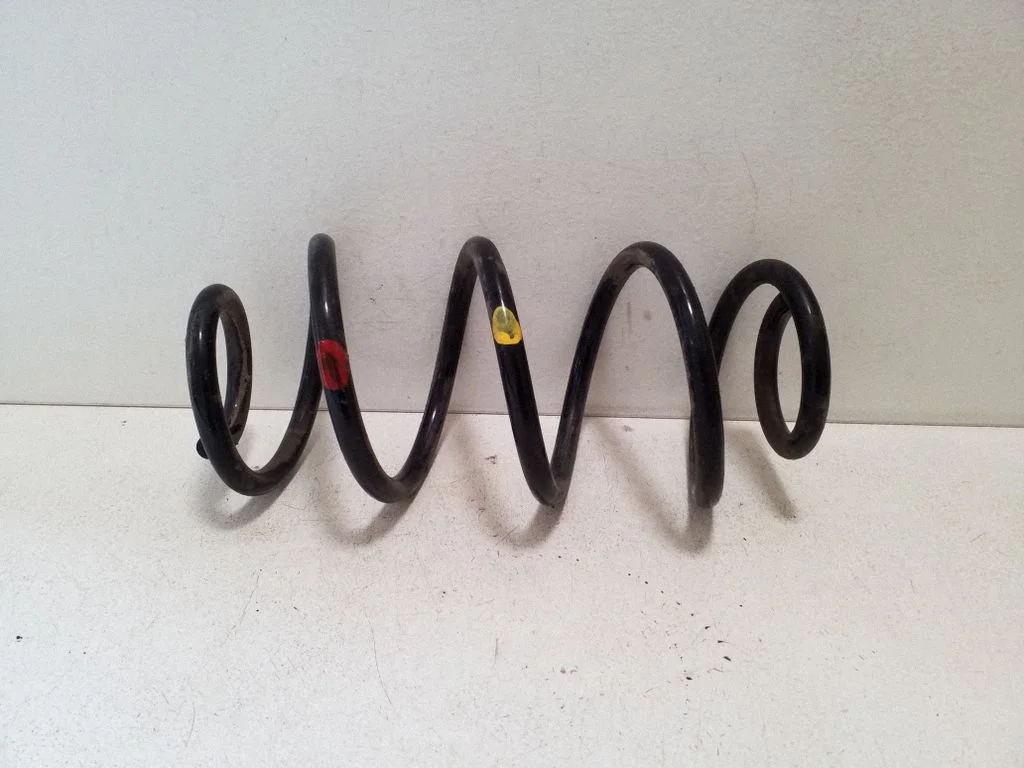 Rear coil spring
