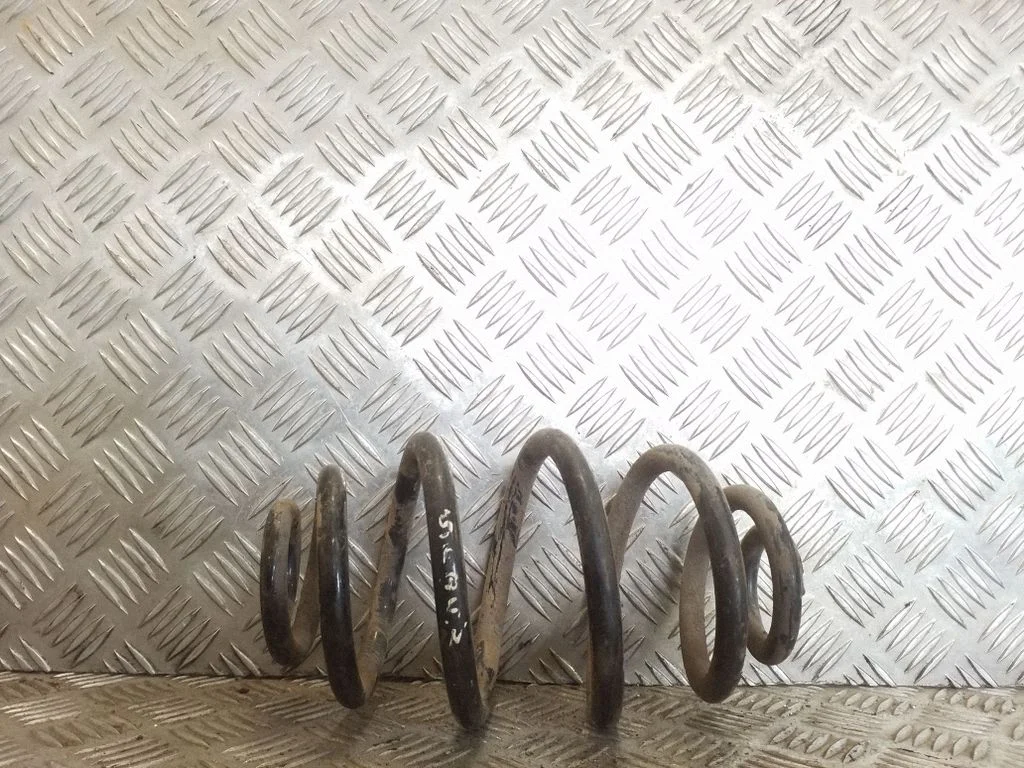 Rear coil spring
