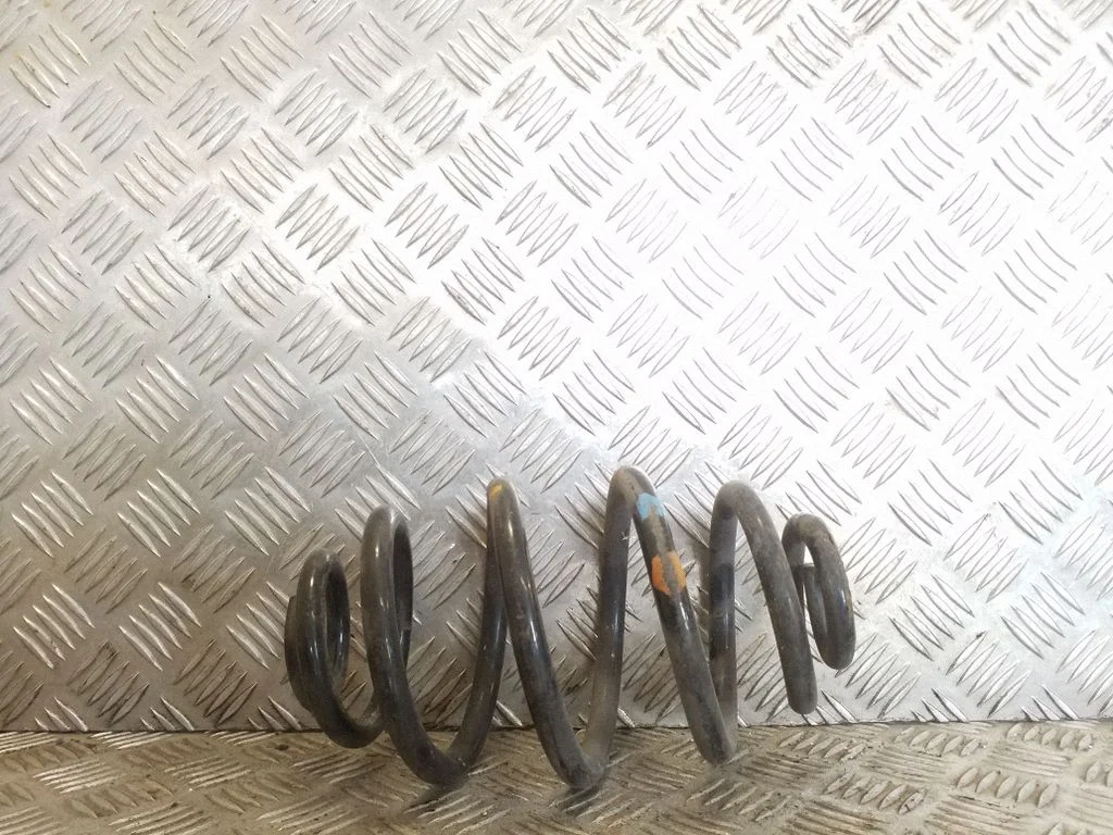 Rear coil spring