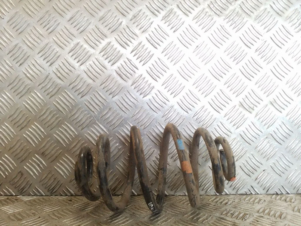Rear coil spring