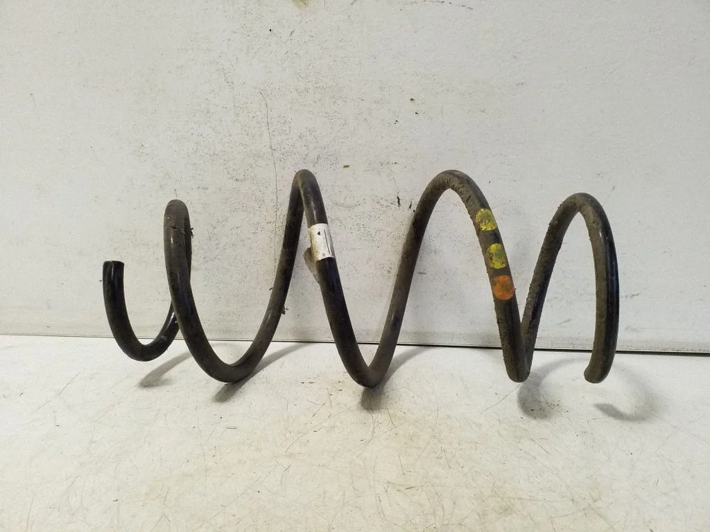 Rear coil spring