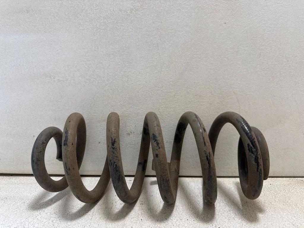 Rear coil spring
