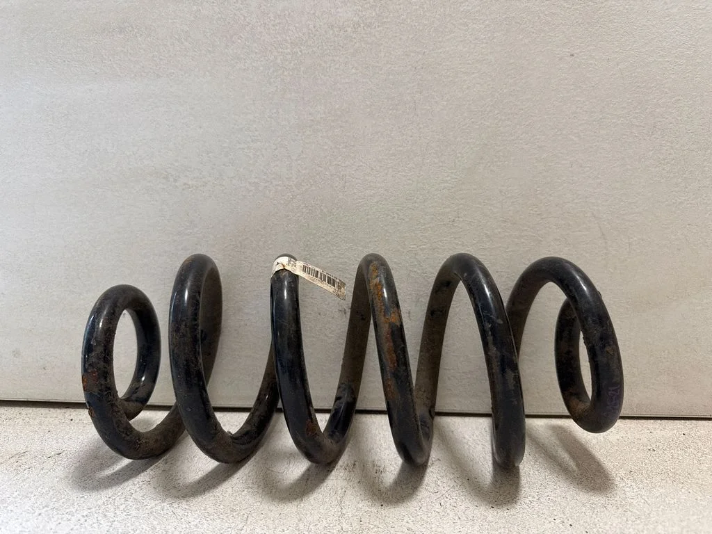 Rear coil spring