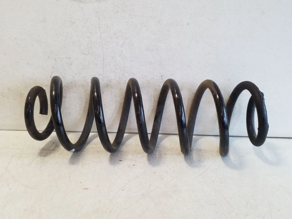 Rear coil spring
