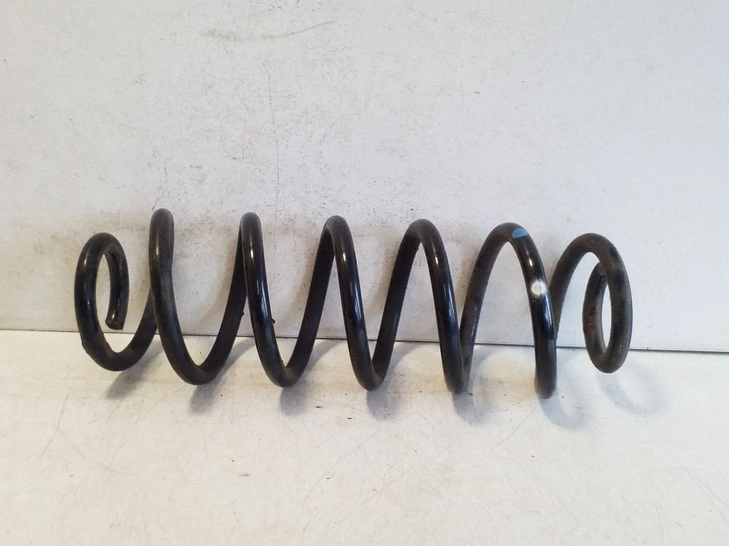 Rear coil spring