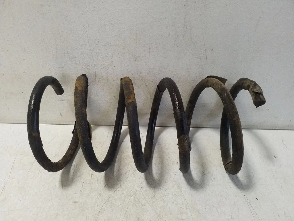 Rear coil spring